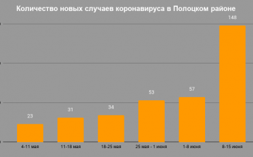 В инфографике приводятся только новые случаи за неделю, а не их общее количество. Информация из официальных источников. Фото: gorod214.by