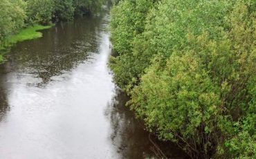 Снимок носит иллюстративный характер / Фото из архива Медиа-Полесья