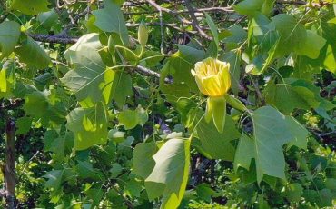 Фото Олега Шумигая