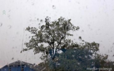 Снимок носит иллюстративный характер