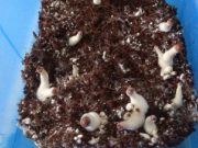 Фото: mvd.gov.by