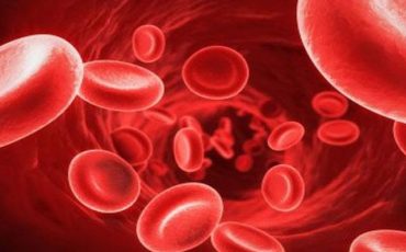 Фото: telegraf.com.ua