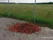 Фото @marhunets из Instagram для Медиа-Полесья