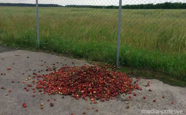 Фото @marhunets из Instagram для Медиа-Полесья