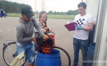 Снимок носит иллюстративный характер / Фото из архива Медиа-Полесья