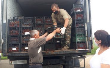 Ягоду принимают заготовитель Пружанского консервного завода Алексей Халецкий и закупщик филиала «Общепит» Лунинецкого райпо Алла Зубко