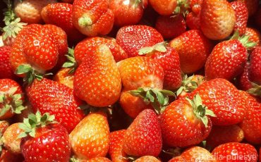 Фото используется в качестве иллюстрации