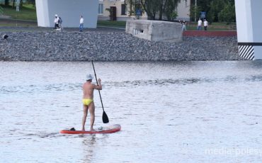 Пина. Фото используется в качестве иллюстрации