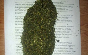 Снимок носит иллюстративный характер