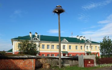 Новый дом для аистов