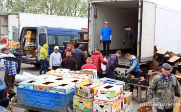 Фото использовано в качестве иллюстрации, из архива Медиа-Полесье