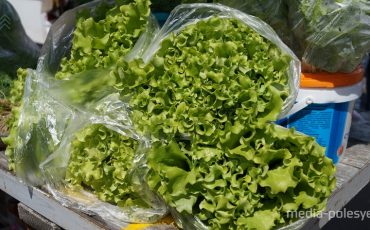 Фото использовано в качестве иллюстрации