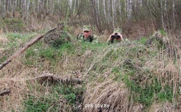 Фото использовано в качестве иллюстрации