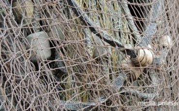 Фото из архива Медиа-Полесья