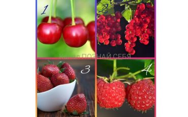 Фото: zen.yandex.ru