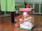 Снимок носит иллюстративный характер / Фото из архива Медиа-Полесья