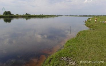 Река Припять в районе Кнубово. Фото из архива Медиа-Полесья