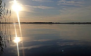 Фото использовано в качестве иллюстрации