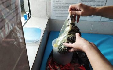 Фото использовано в качестве илюстрации, из архива МП