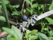 Фото из архива МП