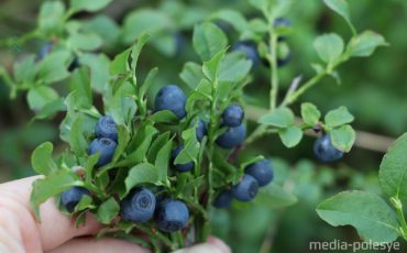 Фото из архива МП