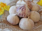 Снимок носит иллюстративный характер / Фото: pixabay.com