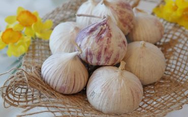 Снимок носит иллюстративный характер / Фото: pixabay.com