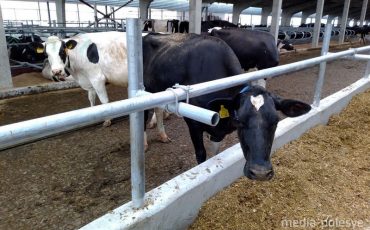 Фото иллюстрационное