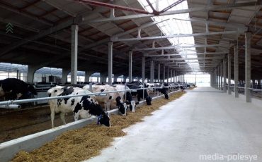 Фото использовано в качестве иллюстрации, из архива МП