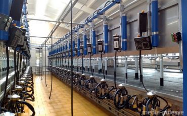 Фото использовано в качестве иллюстрации, из архива МП