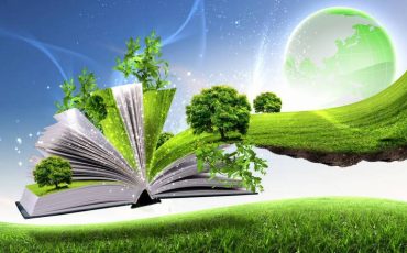 Снимок носит иллюстративный характер / Фото: ulsu.ru