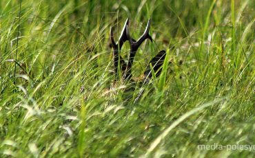 Фота Паўла Ляхновіча