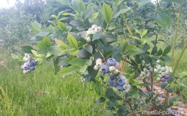 Снимок носит иллюстративный характер