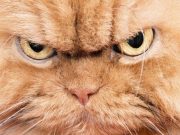 Снимок носит иллюстративный характер / Фото: cluber.com.ua