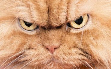 Снимок носит иллюстративный характер / Фото: cluber.com.ua