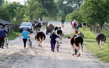 Фото использовано в качестве иллюстрации, из архива