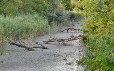 Снимок носит иллюстративный характер / Фото: pixnio.com