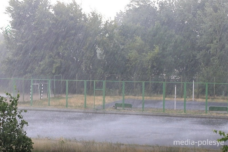 Фото использовано в качестве иллюстрации