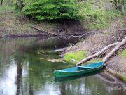Фото используется в качестве иллюстрации