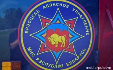 Снимок носит иллюстративный характер