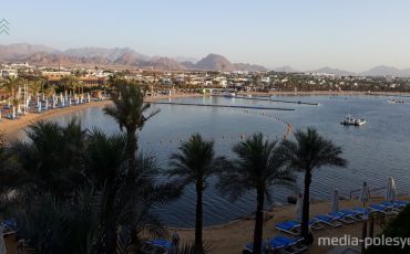 Снимок носит иллюстративный характер / Фото из архива Медиа-Полесья