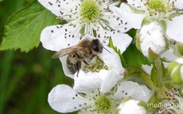 Снимок носит иллюстративный характер