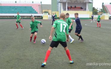 Снимок носит иллюстративный характер / Фото из архива Медиа-Полесья