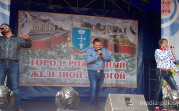 «Тяни-толкай» на Дне города в Лунинце в 2014 году