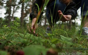 Фото иллюстрационное из архива Медиа-Полесья