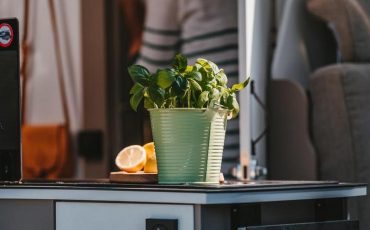 Фото: unsplash.com