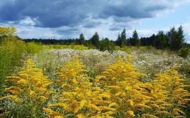 Фото urologia.msk.ru