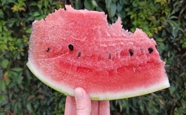 Фото из архива МП