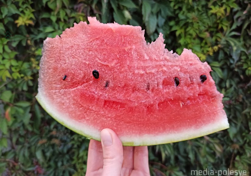 Фото из архива МП