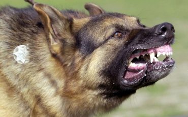 Фото иллюстрационное с сайта avatars.mds.yandex.net